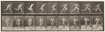 Płyta 68. Bieganie, 1872-1885 autorstwa Eadweard Muybridge