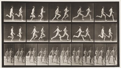 Płyta 69. Uruchamianie dwóch modeli, 1872-1885 autorstwa Eadweard Muybridge