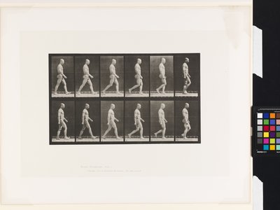 Płyta 6.Chodzenie autorstwa Eadweard Muybridge