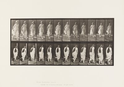 Płyta 71.Bieganie, 1885 autorstwa Eadweard Muybridge