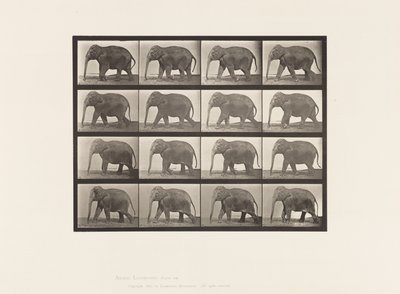Tabliczka 732. Słoń; Pieszy autorstwa Eadweard Muybridge
