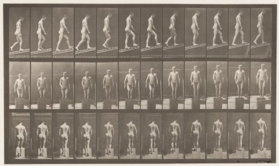 Płyta 74. Rosnąco nachylenie, kąt 1 w 4 autorstwa Eadweard Muybridge
