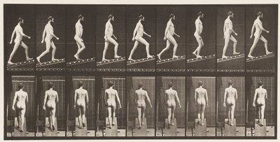 Płyta 75. Wznosząca się nachylenie, kąt 1 w 4, 1872-1885 autorstwa Eadweard Muybridge