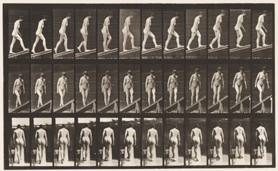 Płyta 76. Wznosząca się nachylenie autorstwa Eadweard Muybridge