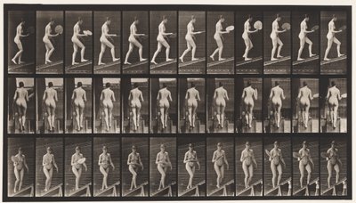 Płyta 78. Rosnąca nachylenie, Flirtujący wachlarz, 1872-1885 autorstwa Eadweard Muybridge