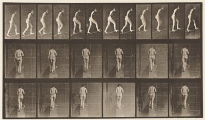 Płyta 79. Wznosząca się nachylenie autorstwa Eadweard Muybridge