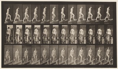 Płyta 81. Wznosząca się pochylnia. autorstwa Eadweard Muybridge