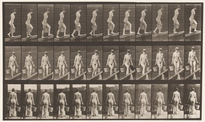 Płyta 82. Wznoszące się nachylenie, wiadro wody w każdej ręce autorstwa Eadweard Muybridge