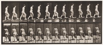 Płyta 83. Wznoszące się pochylenie, wiadro z wodą w prawej ręce autorstwa Eadweard Muybridge