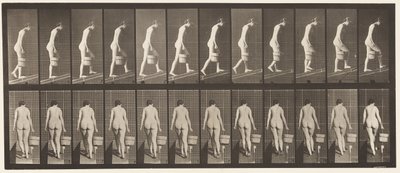 Płyta 84. Wznosząca się pochylnia, wiadro z wodą w prawej ręce autorstwa Eadweard Muybridge