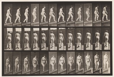 Płyta 86. Wznosząca się nachylenie autorstwa Eadweard Muybridge