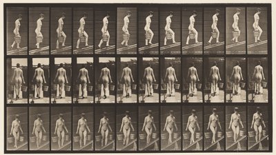 Płyta 87. Wznoszące się nachylenie, wiadro wody w każdej ręce autorstwa Eadweard Muybridge
