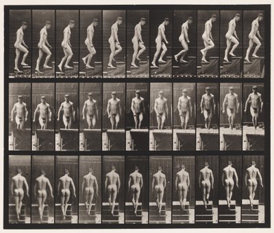 Płyta 88. Schody wznoszące, 1872-1885 autorstwa Eadweard Muybridge