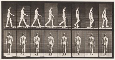 Płyta 8. Chodzenie autorstwa Eadweard Muybridge