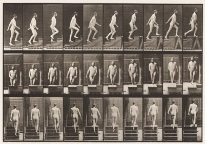 Płyta 90. Wstępujące schody autorstwa Eadweard Muybridge