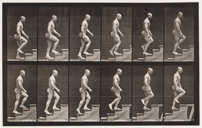 Płyta 91. Wstępujące schody autorstwa Eadweard Muybridge