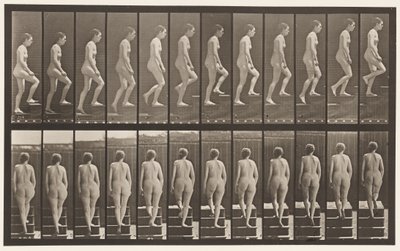 Płyta 92. Wstępujące schody autorstwa Eadweard Muybridge
