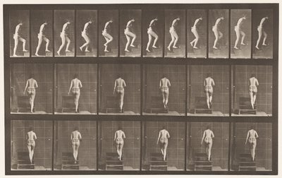 Płyta 93. Wstępujące schody autorstwa Eadweard Muybridge