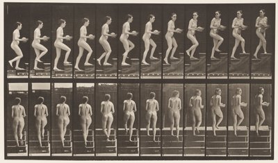 Płyta 94. Schody wznoszące rozglądające się dookoła; Umywalka w rękach autorstwa Eadweard Muybridge
