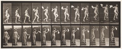 Płyta 96. Schody wznoszące rozglądające się; Machająca chusteczka autorstwa Eadweard Muybridge