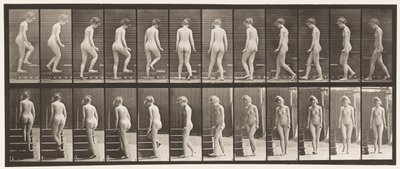Tablica 98. Schody zakręcane i wstępujące, 1872-1885 autorstwa Eadweard Muybridge