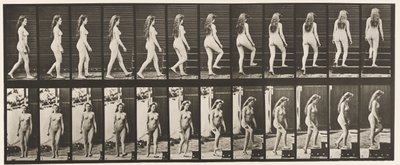 Płyta 99. Schody skrętne i wstępujące autorstwa Eadweard Muybridge