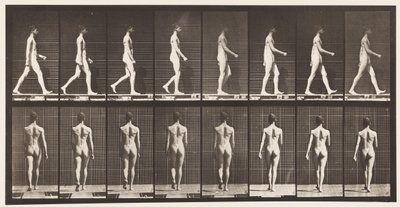 Płyta 9. Chodzenie, 1872-1885 autorstwa Eadweard Muybridge