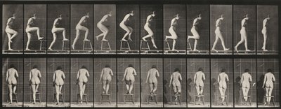 Tablica numer 180. Wchodzenie na krzesło i przechodzenie przez nie autorstwa Eadweard Muybridge