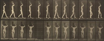 Płyta numer 34. Chodzący i niosący 15-funtowy kosz na głowie, ręce uniesione, 1887 r. (zdjęcie) autorstwa Eadweard Muybridge