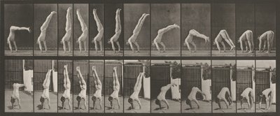Płyta numer 371. Acrobat, pionowa "prasa w górę", 1887 (zdjęcie) autorstwa Eadweard Muybridge