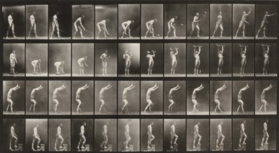 Tablica numer 488. A: Tenis ziemny. B: Hantle. C: Chodzenie na rękach. D: Wchodzenie po schodach autorstwa Eadweard Muybridge