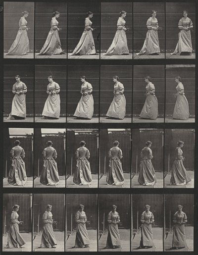 Tablica numer 48. Chodzenie i obracanie się z bukietem w obu rękach autorstwa Eadweard Muybridge