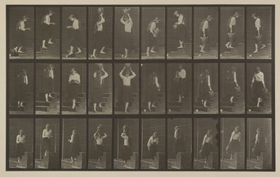 Numer rejestracyjny 504. Schody wchodzące i schodzące autorstwa Eadweard Muybridge