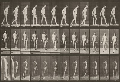 Tablica numer 559. Częściowa paraplegia, chodzenie z laską autorstwa Eadweard Muybridge