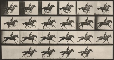 Tablica numer 625. „Bouquet” w galopie autorstwa Eadweard Muybridge
