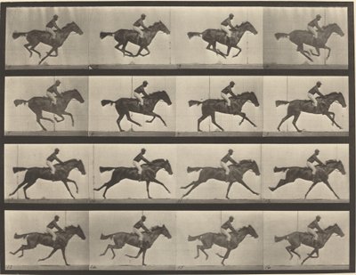 Numer rejestracyjny 626. Galop, klacz czystej krwi gniadej, Annie G. autorstwa Eadweard Muybridge