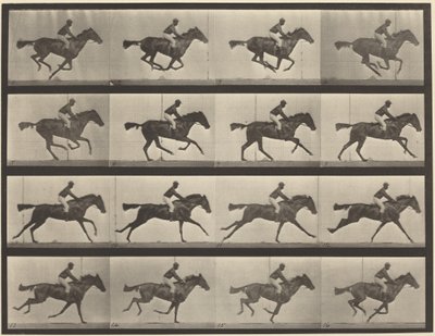 Tablica numer 626. Galop, pełnej krwi gniada klacz, Annie G. autorstwa Eadweard Muybridge
