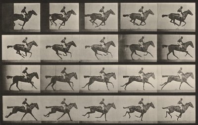 Tablica numer 627. „Annie G.” w galopie autorstwa Eadweard Muybridge