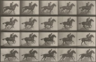 Tablica numer 628. „Daisy” w galopie autorstwa Eadweard Muybridge