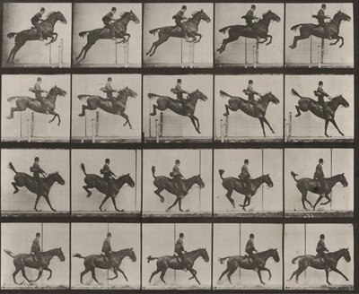 Tablica numer 637. „Daisy” skacząca przez przeszkodę, osiodłana, podczas pokonywania przeszkody, lądowania i odzyskiwania równowagi autorstwa Eadweard Muybridge