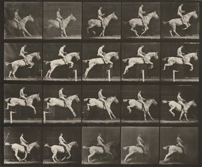 Tablica numer 642. „Pandora” skacząca przez przeszkodę, osiodłana; jeździec nagi autorstwa Eadweard Muybridge