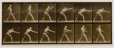 Pugilista zadający cios, z książki Animal Locomotion autorstwa Eadweard Muybridge