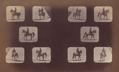 Badania skrótów perspektywicznych. Konie. Pieszy. Mahometa. nr 119-120 autorstwa Eadweard Muybridge