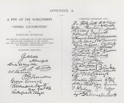Subskrybenci Animal Locomotion autorstwa Eadwearda Muybridge