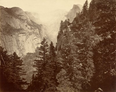 Kanion Tenaya z Union Point, Dolina Yosemite autorstwa Eadweard Muybridge