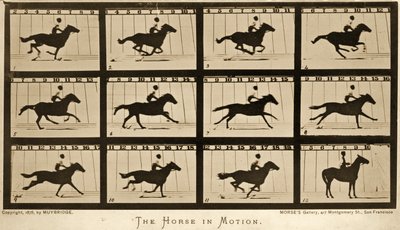 Koń w ruchu, cykl „Lokomocja zwierząt”, ok. 1878 r. autorstwa Eadweard Muybridge