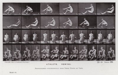 Postać ludzka w ruchu: sportowiec, wioślarstwo (zdjęcie czarno-białe) autorstwa Eadweard Muybridge