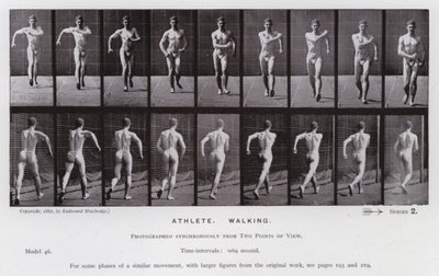 Postać ludzka w ruchu: sportowiec, chodzenie (zdjęcie czarno-białe) autorstwa Eadweard Muybridge