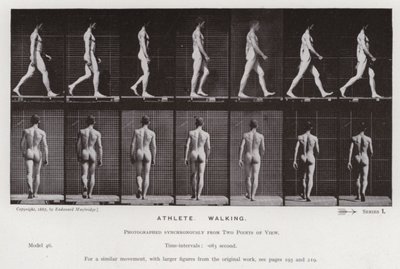 Postać ludzka w ruchu: sportowiec, chodzenie (zdjęcie czarno-białe) autorstwa Eadweard Muybridge