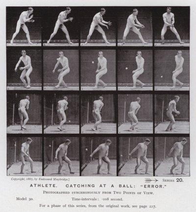 Postać ludzka w ruchu: sportowiec, łapie piłkę, „błąd” (zdjęcie czarno-białe) autorstwa Eadweard Muybridge